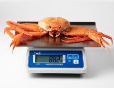 메가사이즈 홍게(생물기준 미당 700~800g 내외)